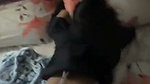 Indian Sexy Babe Giving Blowjob Riding Doggy Style Fucking