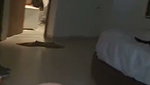 New update sexy girl pissing showing her boobs