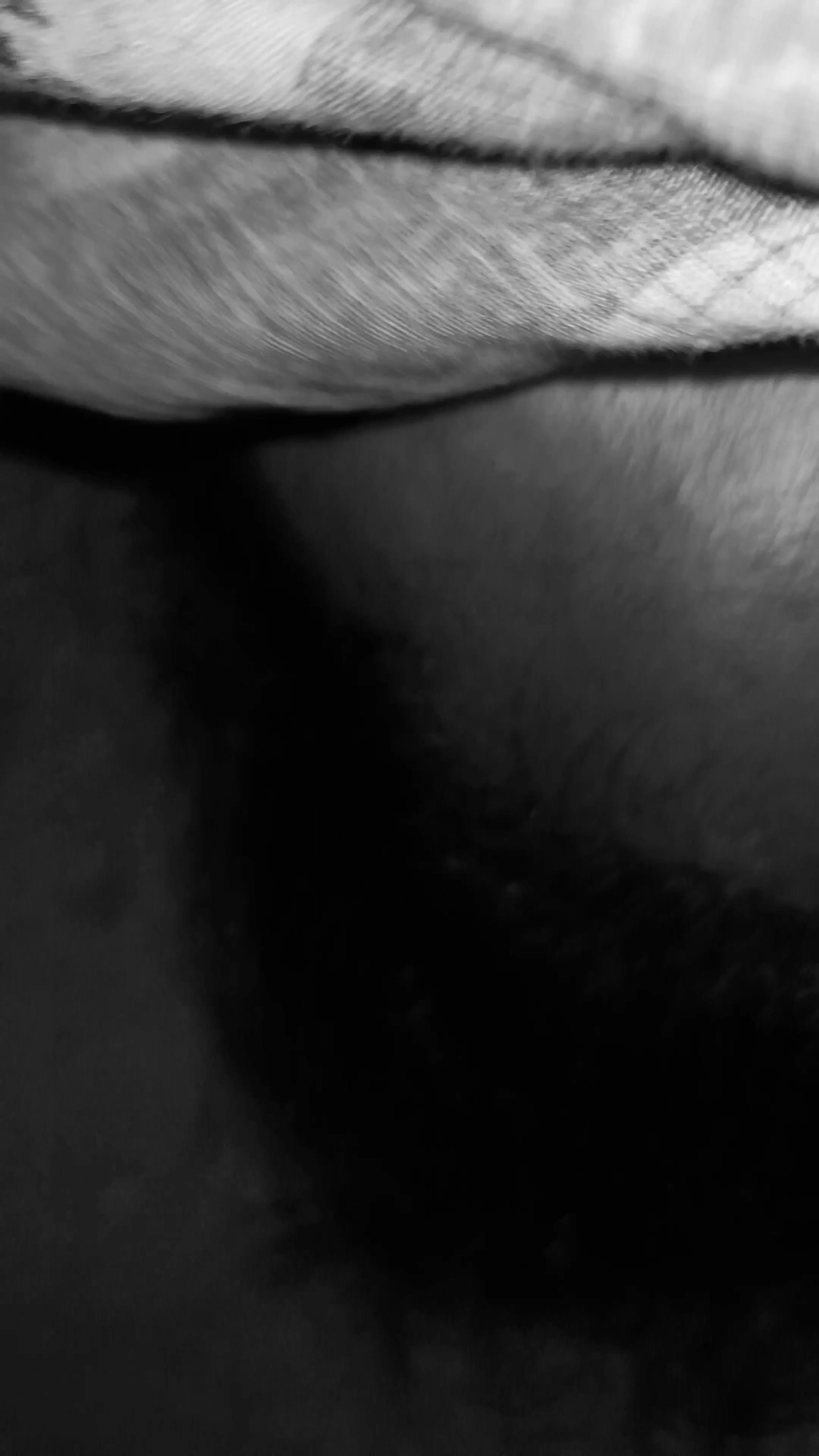 Frame 6