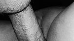 1000337369