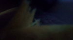 VID 20260804 WA0020