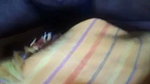 VID 20260804 WA0020