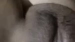 VID 20260809 WA0045