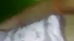 VID 20260809 WA0044