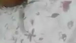 VID 20260809 WA0044