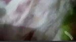 VID 20260809 WA0044