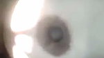 VID 20260809 WA0042