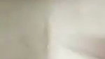 VID 20260809 WA0042