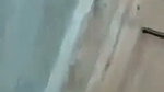 VID 20260808 WA0030