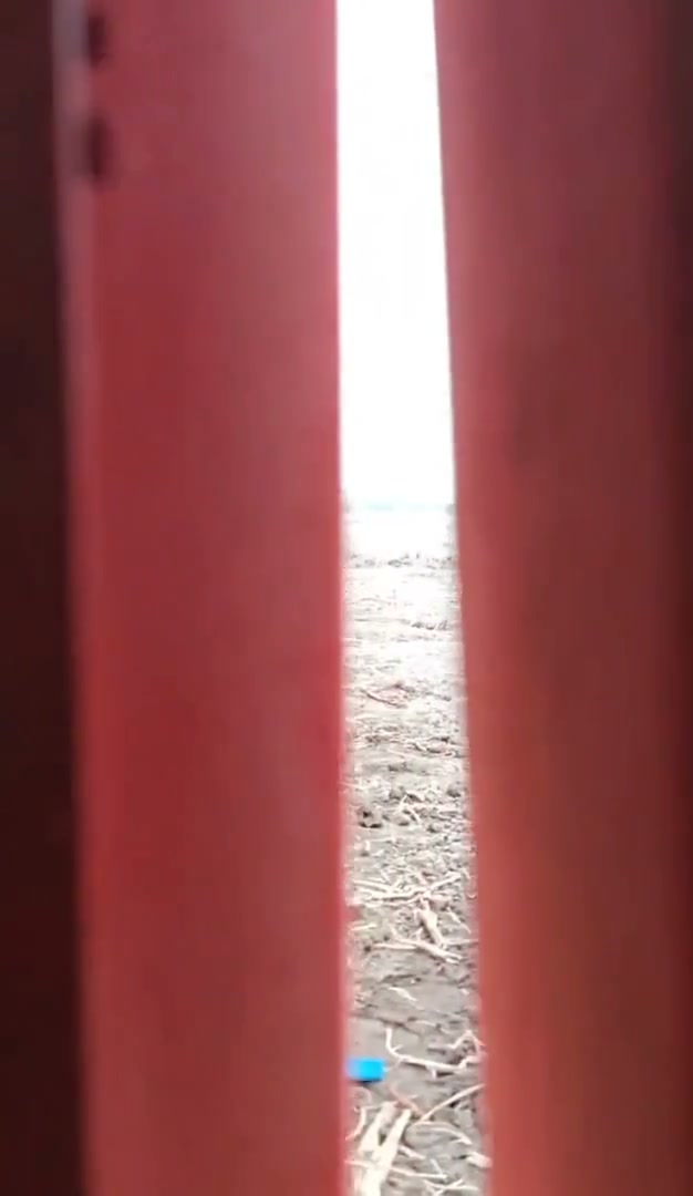 Frame 1