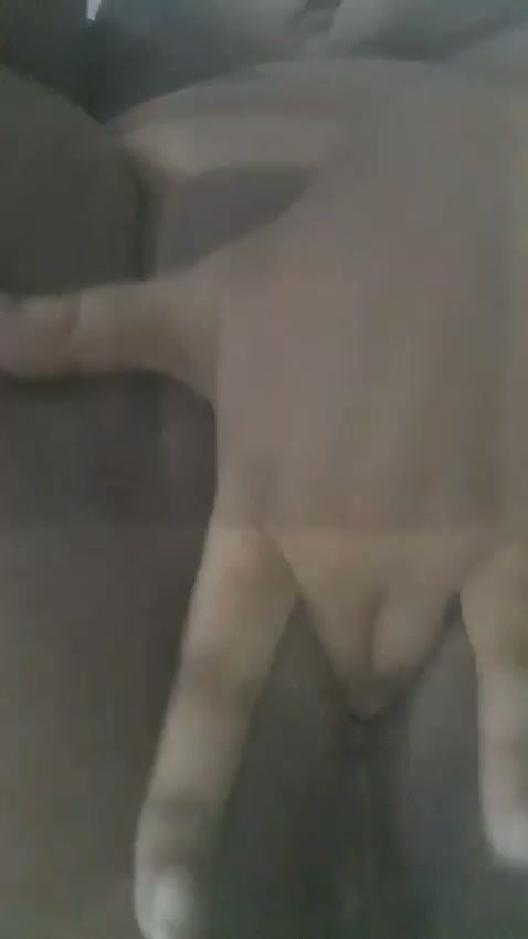 Frame 5