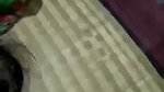 Beautiful bhabhi showing her pussy smiling