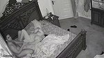 VID 20260811 2