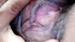 Sexy girl showing her pink pussy