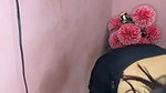 Sexy girlfriend give Blowjob