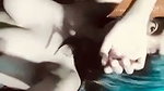 IMG 1079