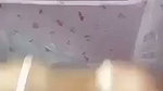 video 2026 08 13 01 16 05