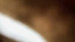 1000130812