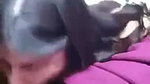 sex inside car