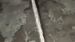 piss during fingering