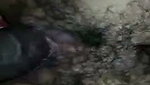 Watch Exclusive desi 18 Girl Fucked