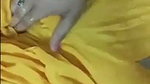 Sexy girl showing her hot boobs