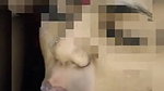 Wife licking her husband ass