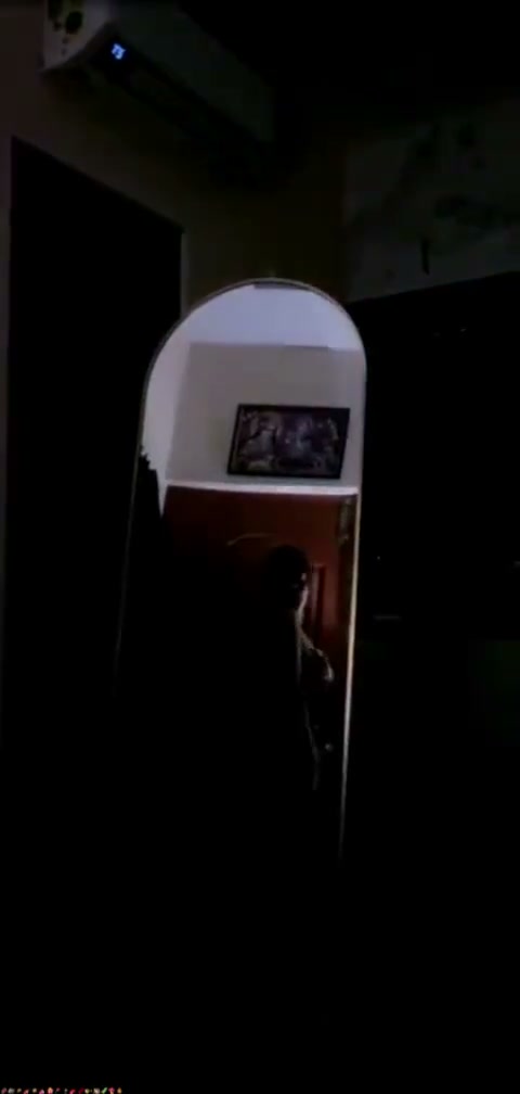 Frame 8
