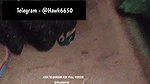 km 20260722 1 1080p 60f 20260722 140647