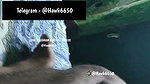 km 20260722 1 1080p 60f 20260722 140647