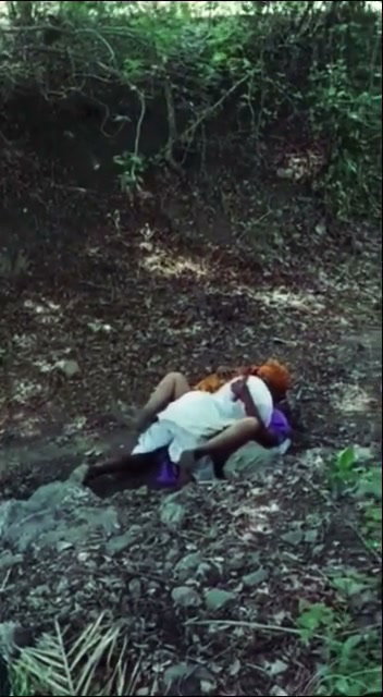 Frame 1