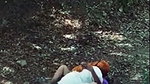 Old is gold golden time in public 8530973