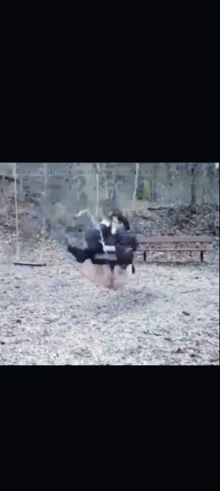Frame 6