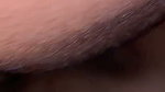 tight pussy gf fucked