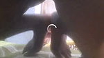 ms zini pussy fingering