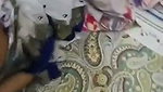 Boyfriend fuck his gf hard  moan