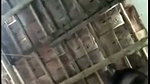 desi gf fucked