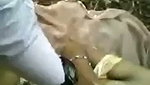 jungle mein chudai kri