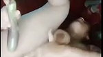 Super sexy Bengali Bhabhi masturtbating pussy with brinjal