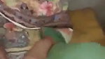 Village bhabhi pussy fingering and blowjob to devar