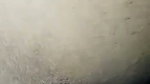 tight pussy gf fucked
