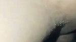 tight pussy gf fucked