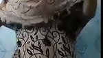 Sexy Bhabi showing her big Ass