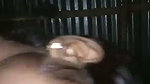 Village girlfriend riding her bf dick