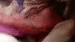 Lattika Bhabhi strip chat ticket show