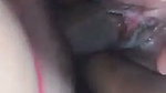 Beautiful bhabhi fucking hard  showing