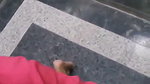 Beautiful girl give Blowjob in lift