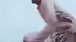 Muslim guy fucked on bed