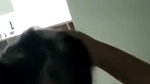 Blowjob by gf