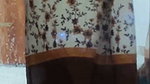 lovers sex video recorded secretly through window  2